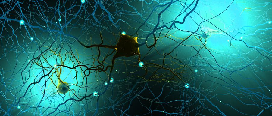 Signal transmitting neurons or nerve cells- 3d illustration