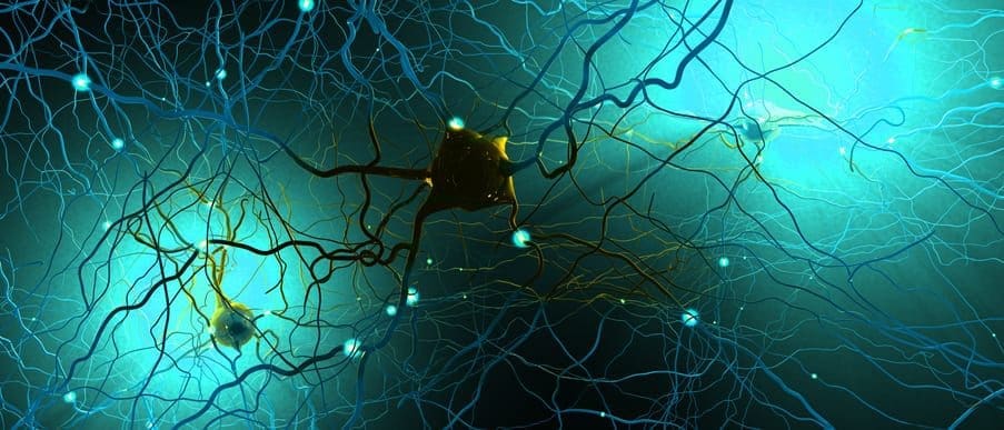 Signal transmitting neurons or nerve cells- 3d illustration